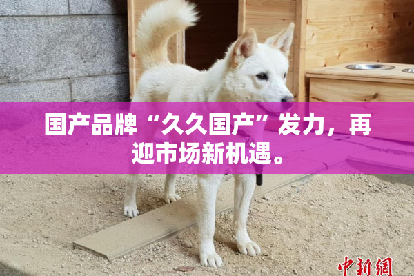 国产品牌“久久国产”发力，再迎市场新机遇。