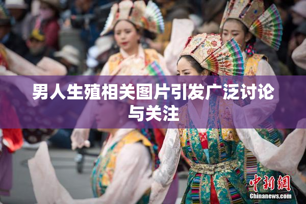 男人生殖相关图片引发广泛讨论与关注