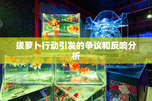 拔萝卜行动引发的争议和反响分析