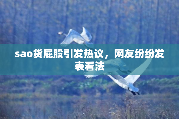 sao货屁股引发热议，网友纷纷发表看法