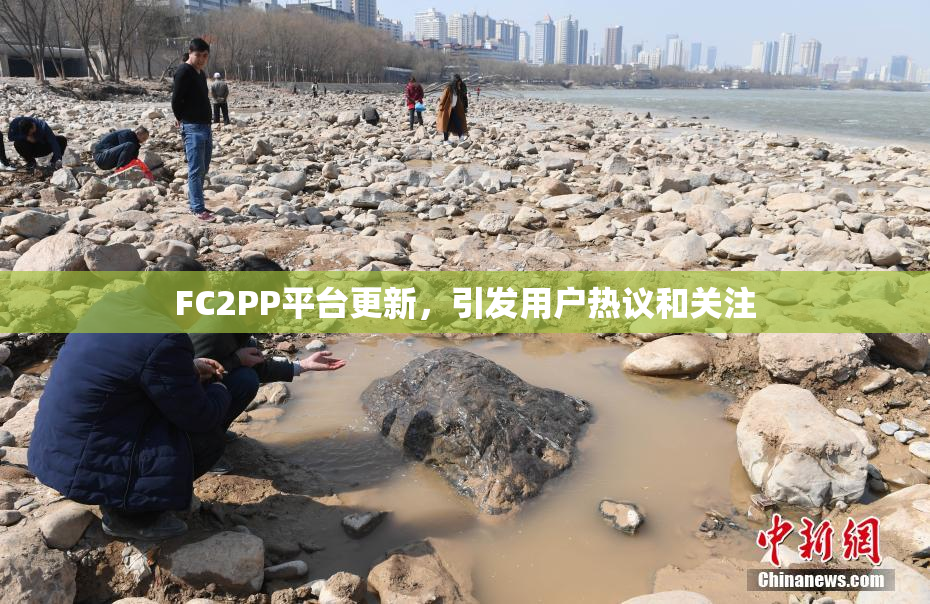 FC2PP平台更新，引发用户热议和关注
