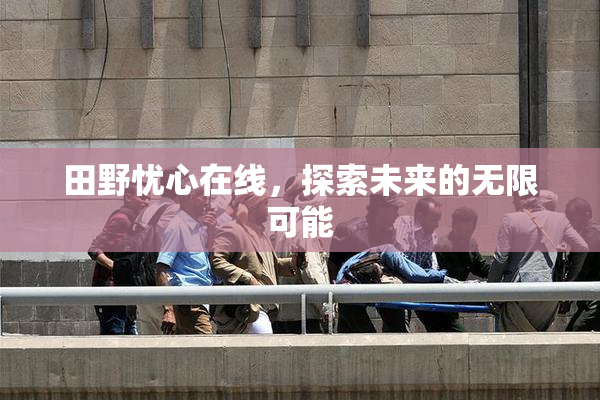 田野忧心在线，探索未来的无限可能