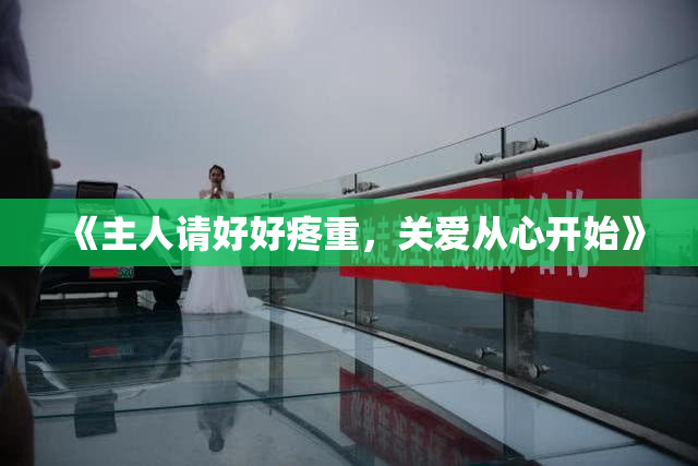 《主人请好好疼重，关爱从心开始》