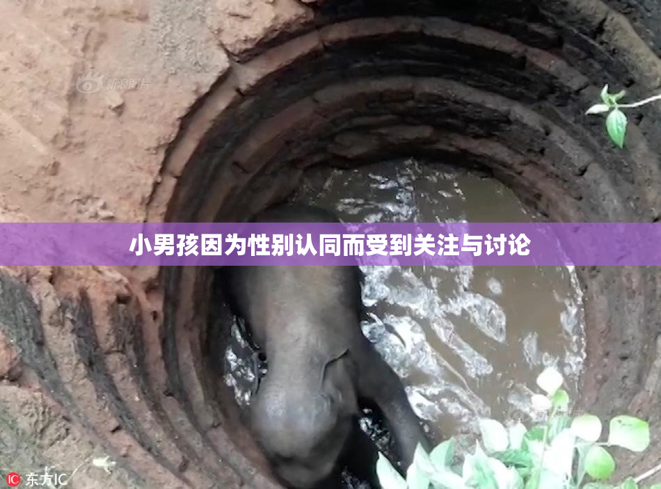 小男孩因为性别认同而受到关注与讨论