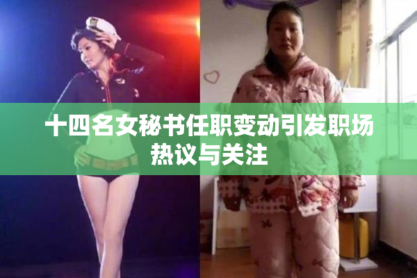 十四名女秘书任职变动引发职场热议与关注