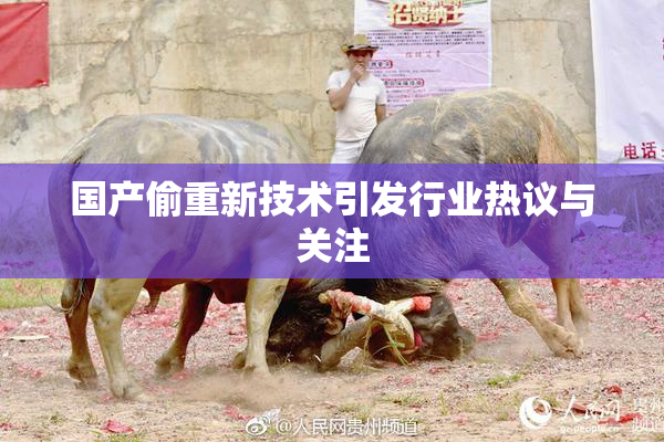 国产偷重新技术引发行业热议与关注