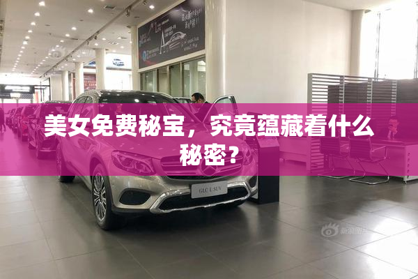 美女免费秘宝，究竟蕴藏着什么秘密？