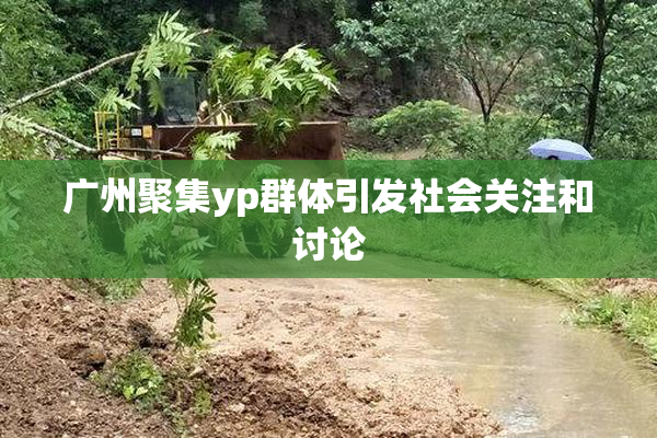 广州聚集yp群体引发社会关注和讨论