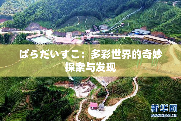 ぱらだいすこ：多彩世界的奇妙探索与发现