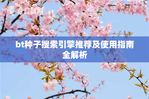 bt种子搜索引擎推荐及使用指南全解析