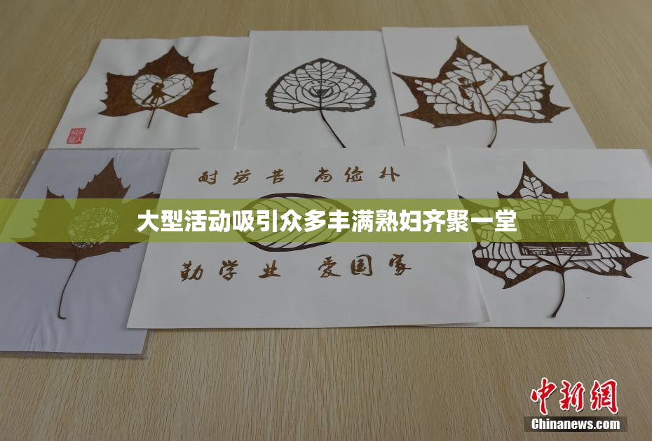 大型活动吸引众多丰满熟妇齐聚一堂
