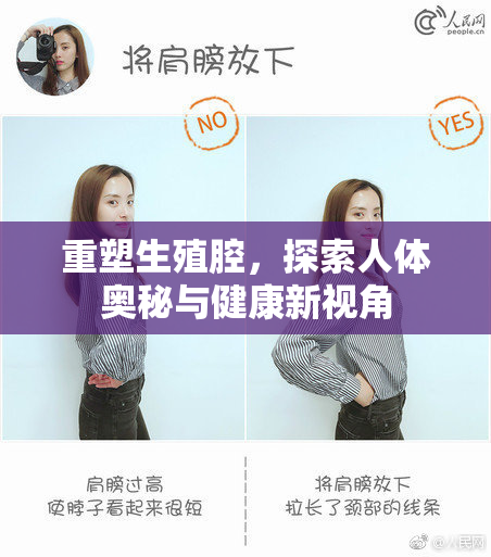 重塑生殖腔，探索人体奥秘与健康新视角