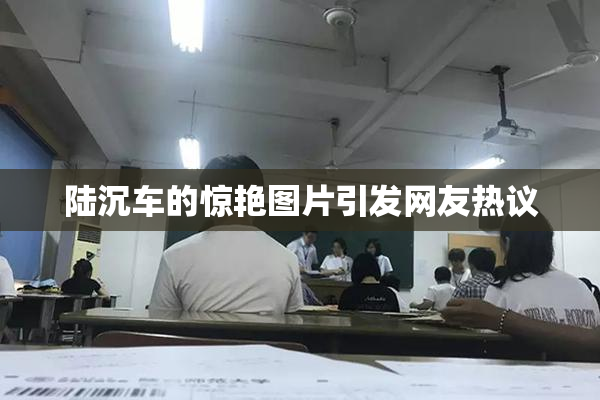 陆沉车的惊艳图片引发网友热议