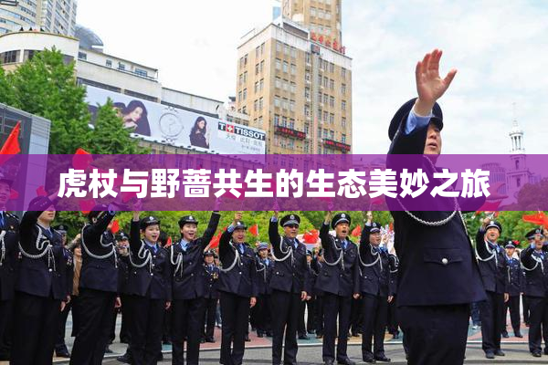 虎杖与野蔷共生的生态美妙之旅