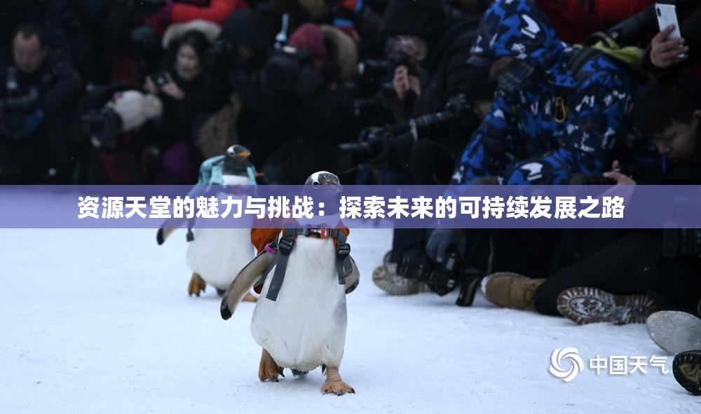 资源天堂的魅力与挑战：探索未来的可持续发展之路