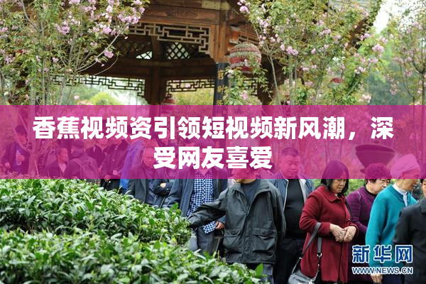 香蕉视频资引领短视频新风潮，深受网友喜爱