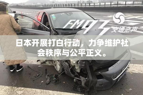 日本开展打白行动，力争维护社会秩序与公平正义。