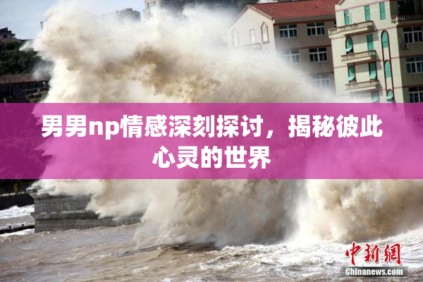 男男np情感深刻探讨，揭秘彼此心灵的世界