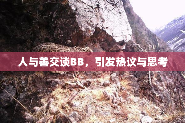 人与善交谈BB，引发热议与思考