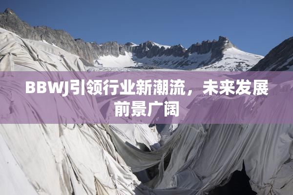BBWJ引领行业新潮流，未来发展前景广阔