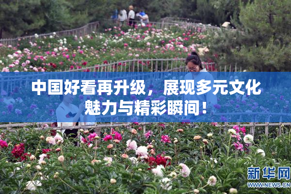 中国好看再升级，展现多元文化魅力与精彩瞬间！