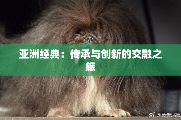 亚洲经典：传承与创新的交融之旅