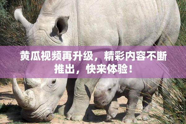 黄瓜视频再升级，精彩内容不断推出，快来体验！