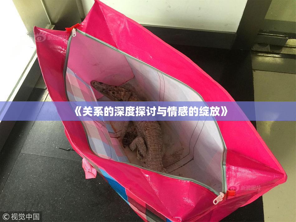 《关系的深度探讨与情感的绽放》