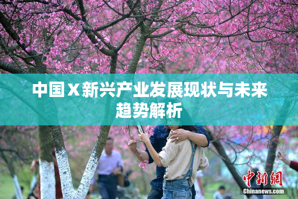 中国Ⅹ新兴产业发展现状与未来趋势解析