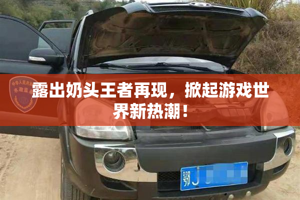 露出奶头王者再现，掀起游戏世界新热潮！