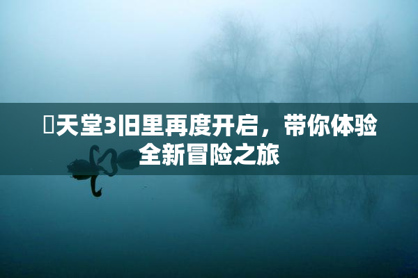 妺天堂3旧里再度开启，带你体验全新冒险之旅