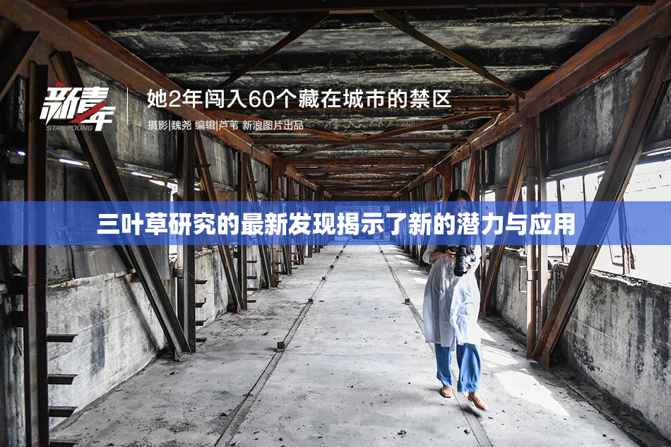 三叶草研究的最新发现揭示了新的潜力与应用