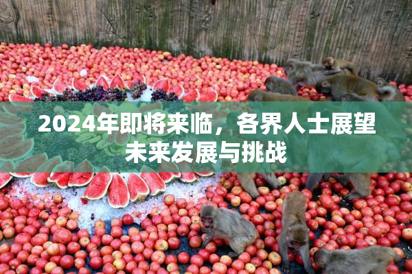 2024年即将来临，各界人士展望未来发展与挑战