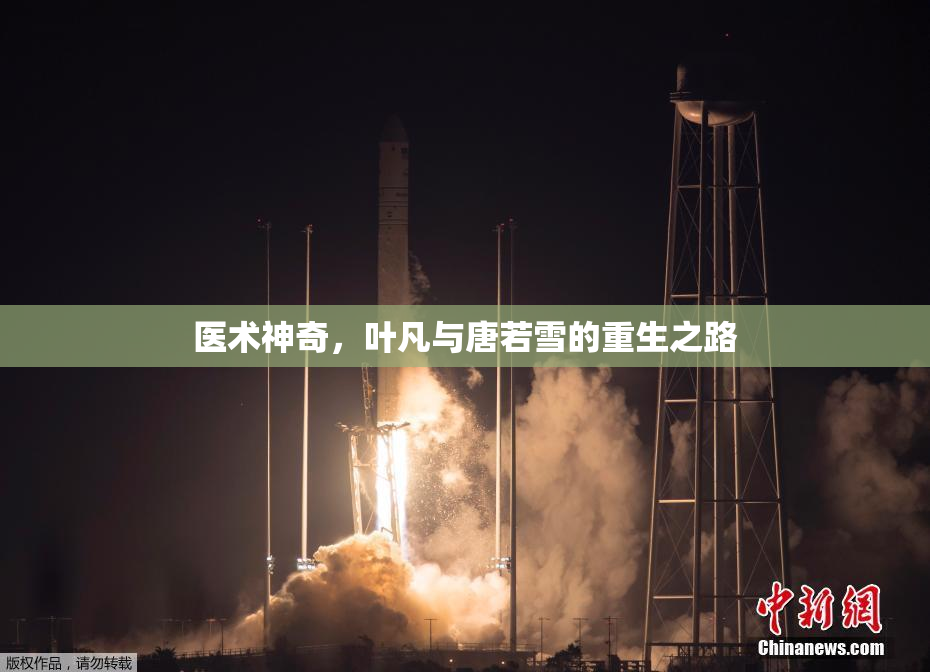医术神奇，叶凡与唐若雪的重生之路