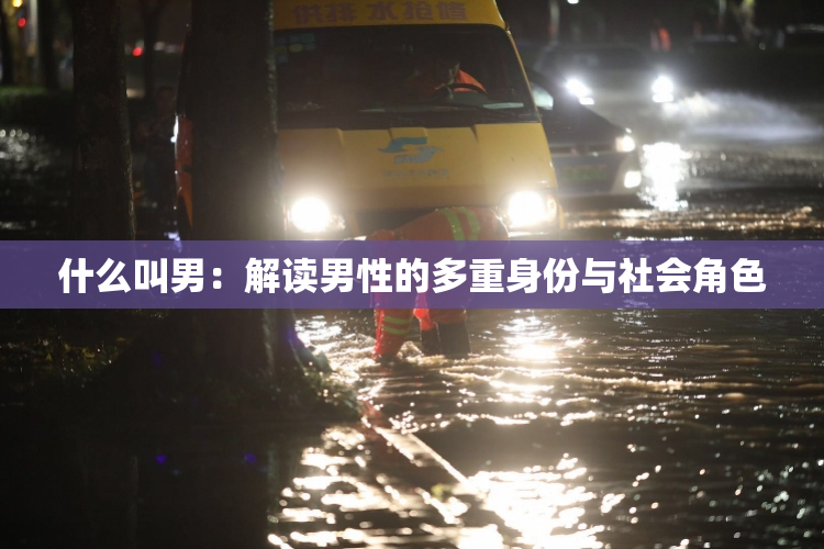 什么叫男：解读男性的多重身份与社会角色