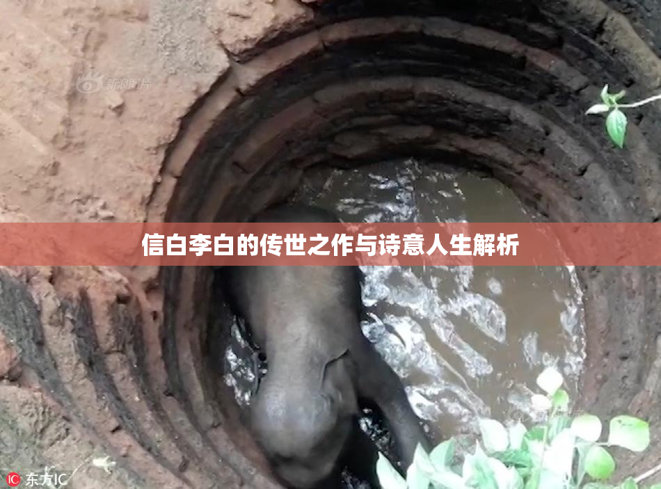 信白李白的传世之作与诗意人生解析