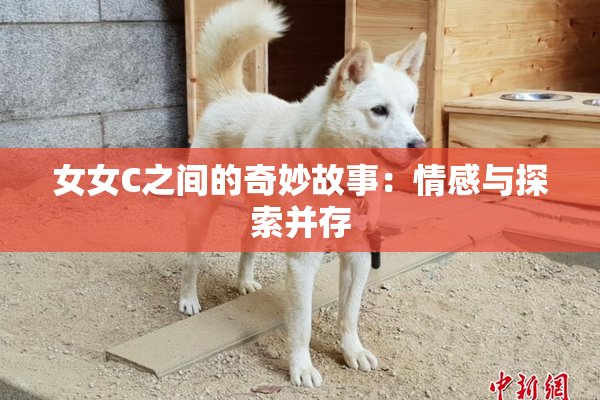 女女C之间的奇妙故事：情感与探索并存