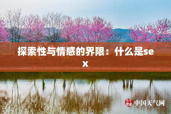 探索性与情感的界限：什么是sex