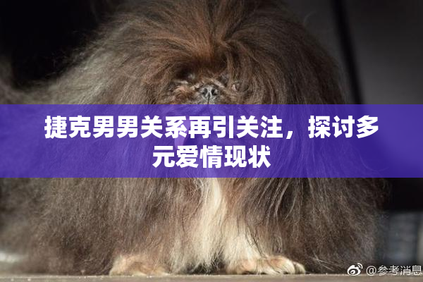 捷克男男关系再引关注，探讨多元爱情现状