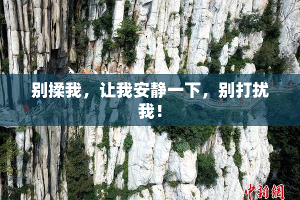 别揉我，让我安静一下，别打扰我！