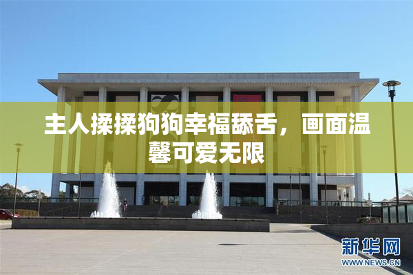 主人揉揉狗狗幸福舔舌，画面温馨可爱无限