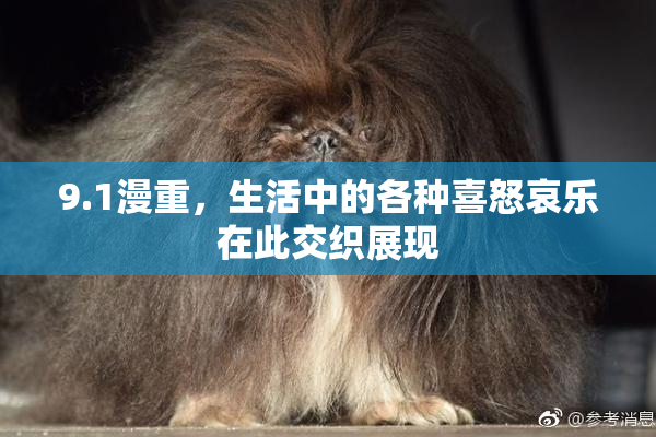 9.1漫重，生活中的各种喜怒哀乐在此交织展现