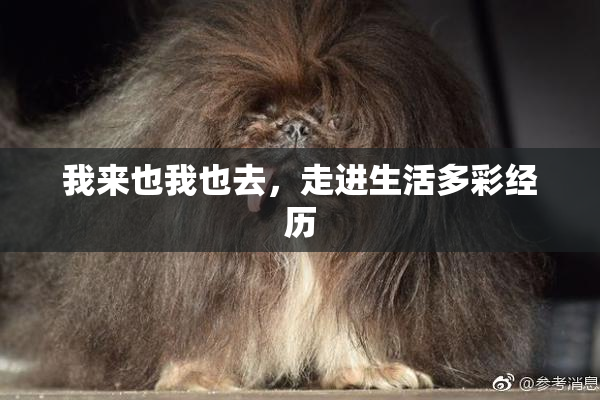 我来也我也去，走进生活多彩经历