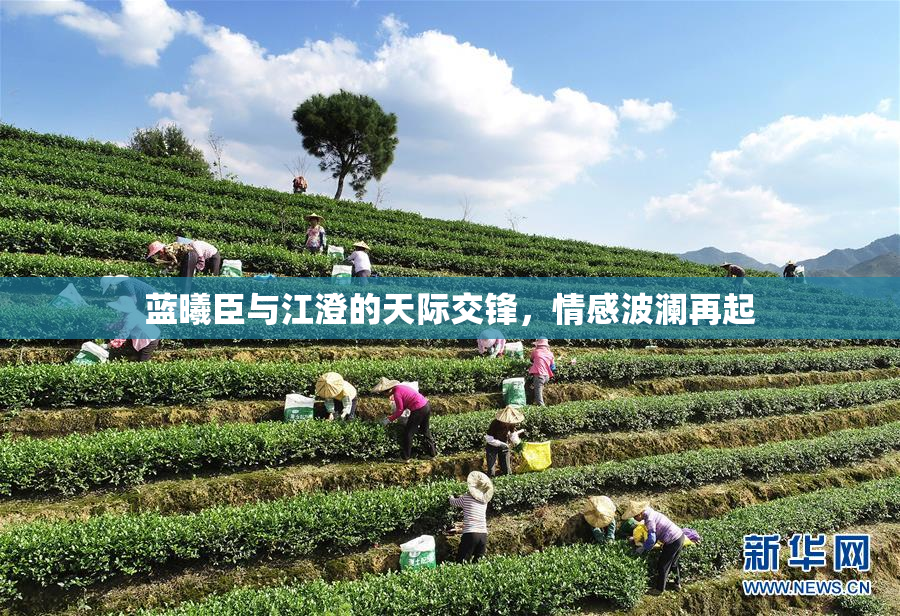 蓝曦臣与江澄的天际交锋，情感波澜再起