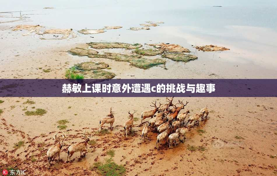 赫敏上课时意外遭遇c的挑战与趣事