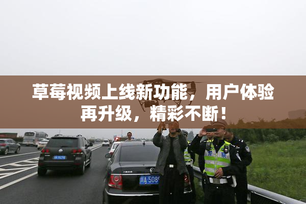 草莓视频上线新功能，用户体验再升级，精彩不断！