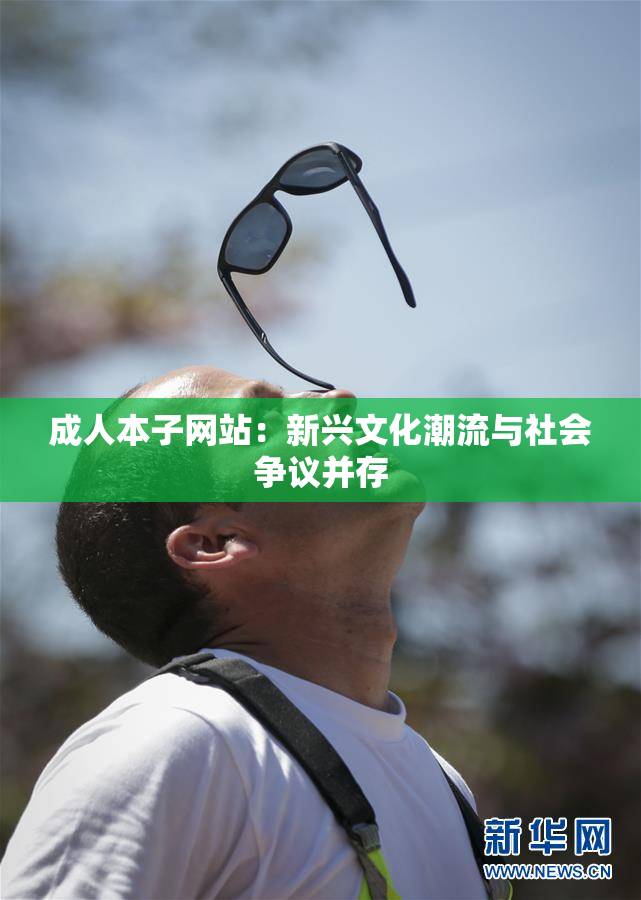 成人本子网站：新兴文化潮流与社会争议并存