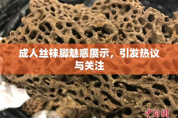 成人丝袜脚魅惑展示，引发热议与关注