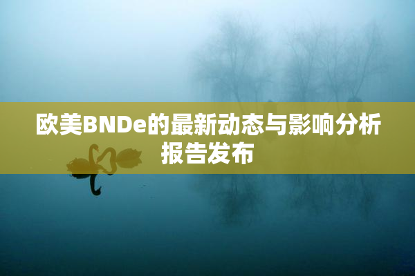 欧美BNDe的最新动态与影响分析报告发布