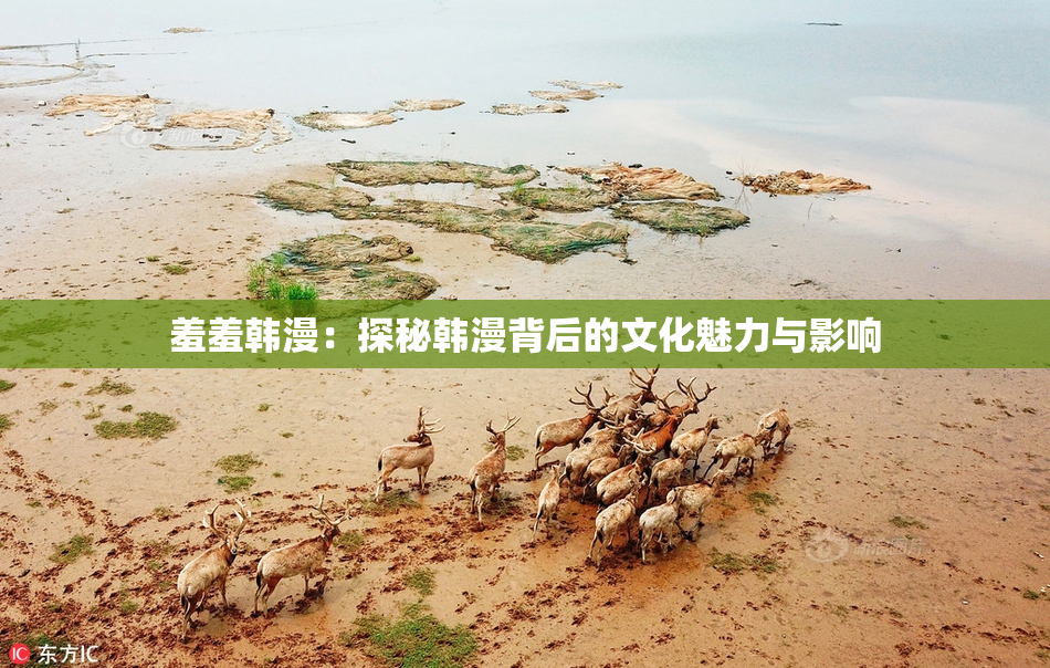 羞羞韩漫：探秘韩漫背后的文化魅力与影响
